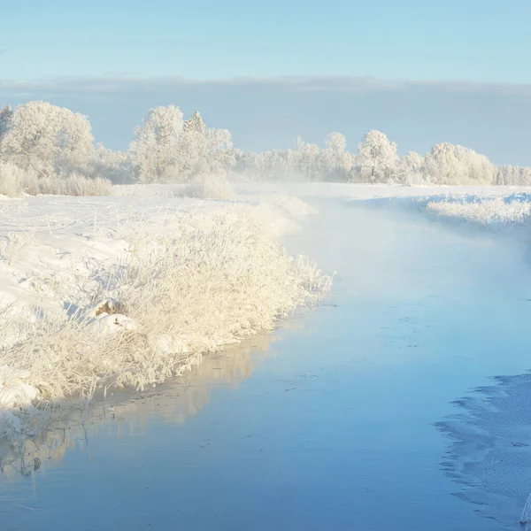 Forest Meadow Frozen River Pure Sunlight Mist Clear Blue Sky — стоковое фото