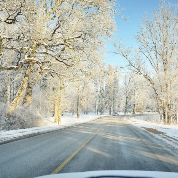 Karla kaplı orman ve kırsal alanda boş otoyol (asfalt yol). Kar sürükleniyor. Avrupa. Doğa, Noel tatilleri, uzak yerler, kış lastikleri, tehlikeli sürüş konsepti