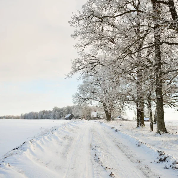 Pathway Snow Covered Fields Village Sunny Day Country Houses Background — Stock fotografie