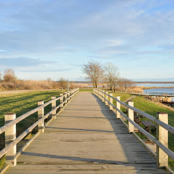 Modern ahşap yürüyüş yolu (bisiklet yolu, tahta yol). Eğlence alanı, orman parkı. Yumuşak güneş ışığı, açık gökyüzü. Baharın başında. Idyllic manzara. Doğa, çevre, ekoloji, eko-turizm, tatiller, hafta sonu
