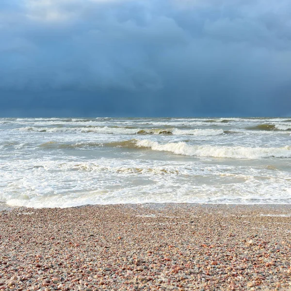 Fırtınadan sonra Baltık kıyıları (kum tepeleri, plaj). Dramatik gökyüzü, parlayan bulutlar. Resimli panoramik manzara. Doğa, çevre, ekoloji, eko-turizm, yürüyüş, keşif kavramları