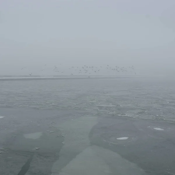 Mer Baltique Dans Brouillard Vagues Éclaboussures Eau Tempête Textures Naturelles — Photo