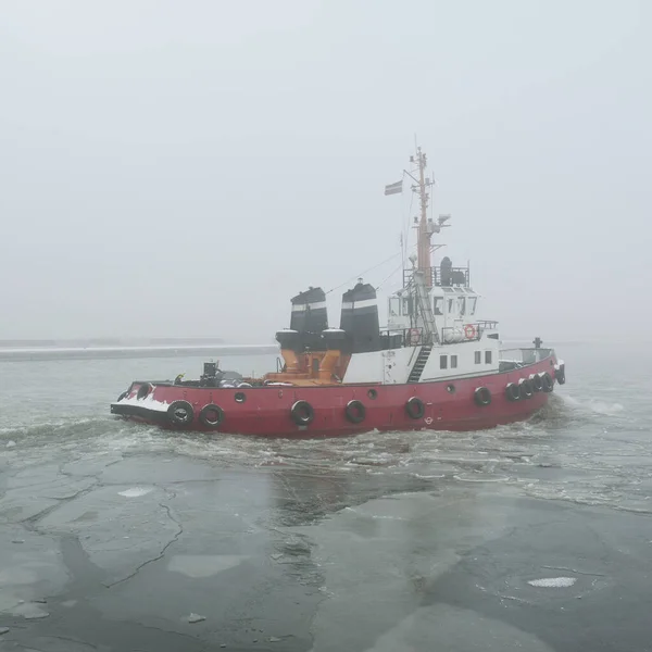 Tug Boat Thick Fog Baltic Sea Winter Seascape Freight Transportation —  Fotos de Stock