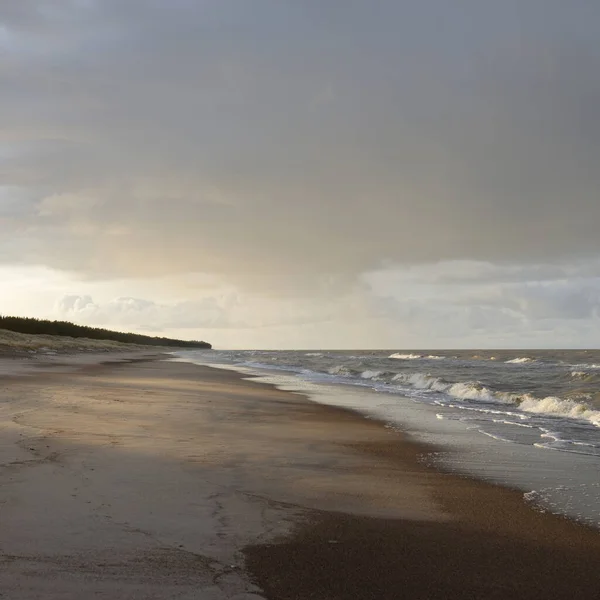 Pobřeží Baltského Moře Písečné Duny Při Západu Slunce Měkké Sluneční — Stock fotografie