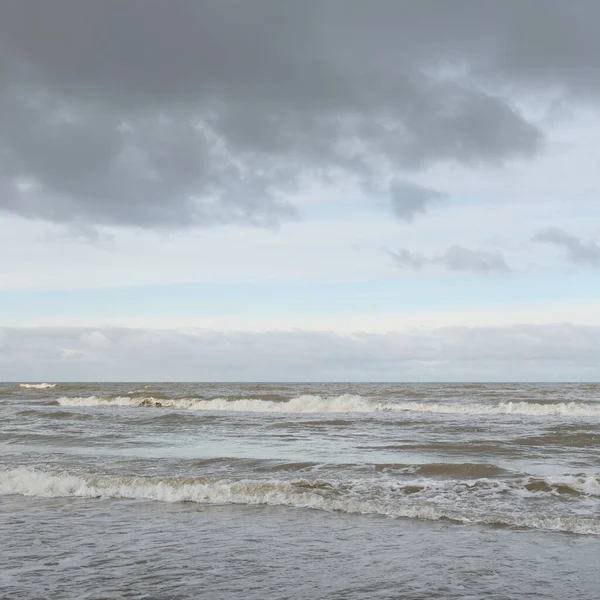 Kumlu bir sahilden (kum tepeleri) Baltık denizinin panoramik görüntüsü. Koyu bulutlu dramatik bir gökyüzü. Dalgalar, su sıçramaları. Idyllic deniz manzarası. Sıcak kış havası, iklim değişikliği, doğa. Danimarka