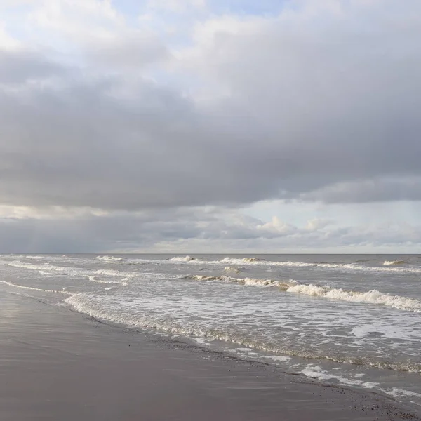 Kumlu bir sahilden (kum tepeleri) Baltık denizinin panoramik görüntüsü. Koyu bulutlu dramatik bir gökyüzü. Dalgalar, su sıçramaları. Idyllic deniz manzarası. Sıcak kış havası, iklim değişikliği, doğa. Danimarka