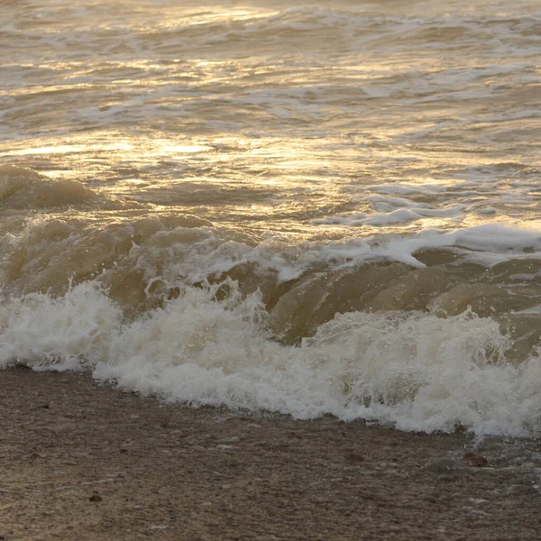 Fırtınadan Sonra Baltık Kıyıları Gün Batımı Yumuşak Güneş Işığı Yüzeyi — Stok fotoğraf