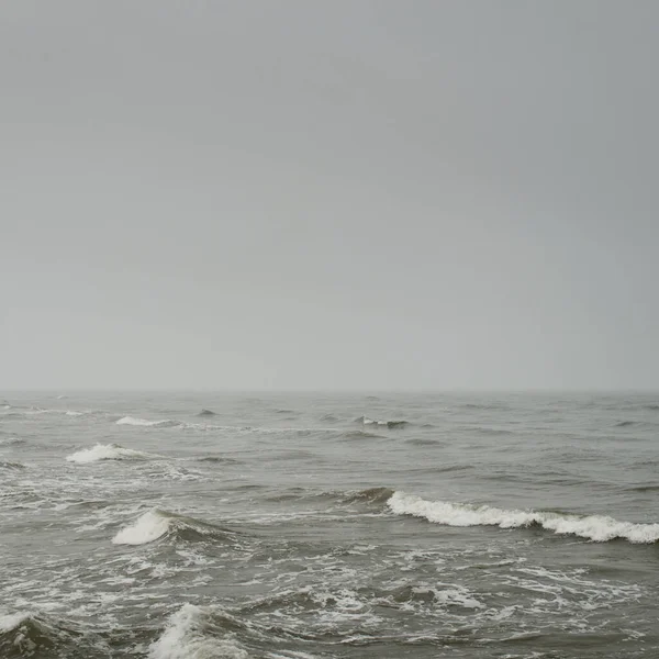 Sis içindeki Baltık Denizi. Dalgalar, su sıçratma, fırtına. Doğal dokular. Resimli panoramik monokrom manzarası, deniz manzarası. Doğa, çevre, sert hava, tehlike