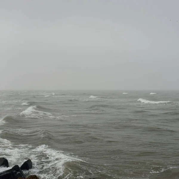 Sis içindeki Baltık Denizi. Dalgalar, su sıçratma, fırtına. Doğal dokular. Resimli panoramik monokrom manzarası, deniz manzarası. Doğa, çevre, sert hava, tehlike