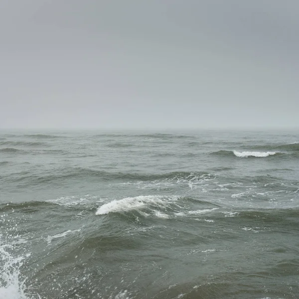 Sis içindeki Baltık Denizi. Dalgalar, su sıçratma, fırtına. Doğal dokular. Resimli panoramik monokrom manzarası, deniz manzarası. Doğa, çevre, sert hava, tehlike