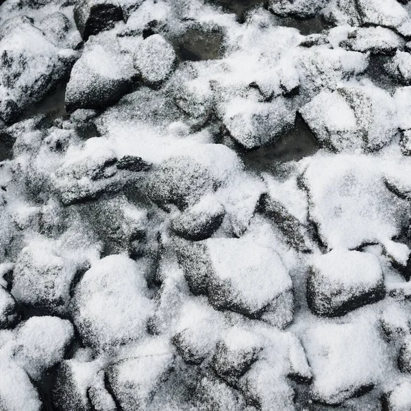 Breakwaters Covered First Snow Monochrome Winter Scenery Natural Textures — Fotografia de Stock
