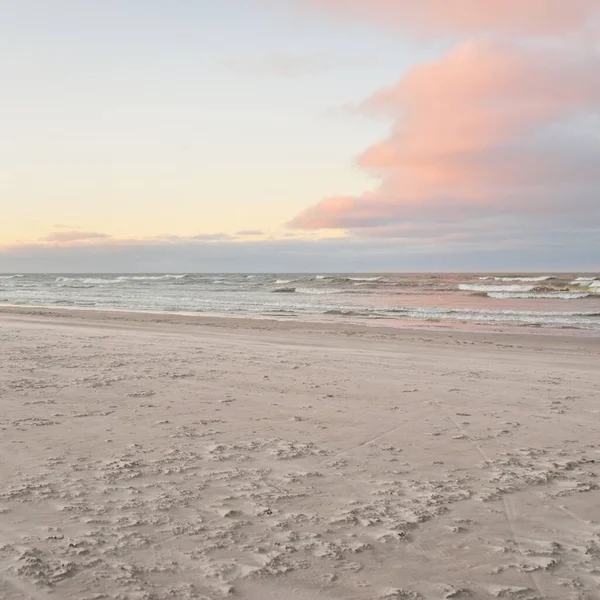 Gün batımında Baltık kıyılarından panoramik manzara. Dramatik bulutlar, parlayan bulutlar, fırtınadan sonra altın güneş ışığı. Doğa, çevre, iklim değişikliği, kararsız hava