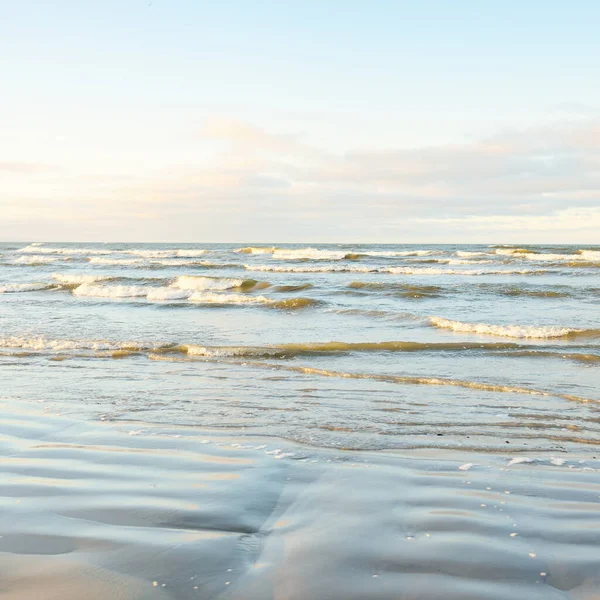 Gün batımında Baltık kıyılarından panoramik manzara. Dramatik bulutlar, parlayan bulutlar, fırtınadan sonra altın güneş ışığı. Doğa, çevre, iklim değişikliği, kararsız hava