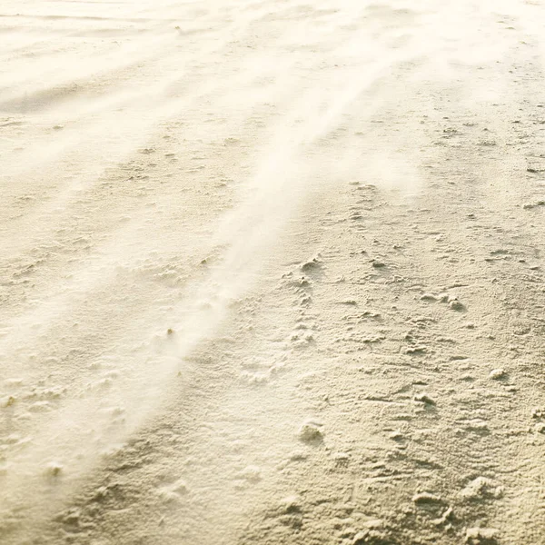 Sea Shore Texture Sand Dunes Wind Soft Golden Sunlight Abstract — Stockfoto