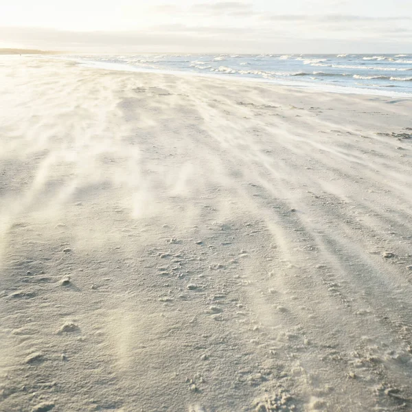 Gün batımında Baltık kıyılarından panoramik manzara. Dramatik bulutlar, parlayan bulutlar, fırtınadan sonra altın güneş ışığı. Doğa, çevre, iklim değişikliği, kararsız hava