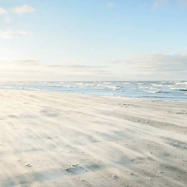 Gün batımında Baltık kıyılarından panoramik manzara. Dramatik bulutlar, parlayan bulutlar, fırtınadan sonra altın güneş ışığı. Doğa, çevre, iklim değişikliği, kararsız hava