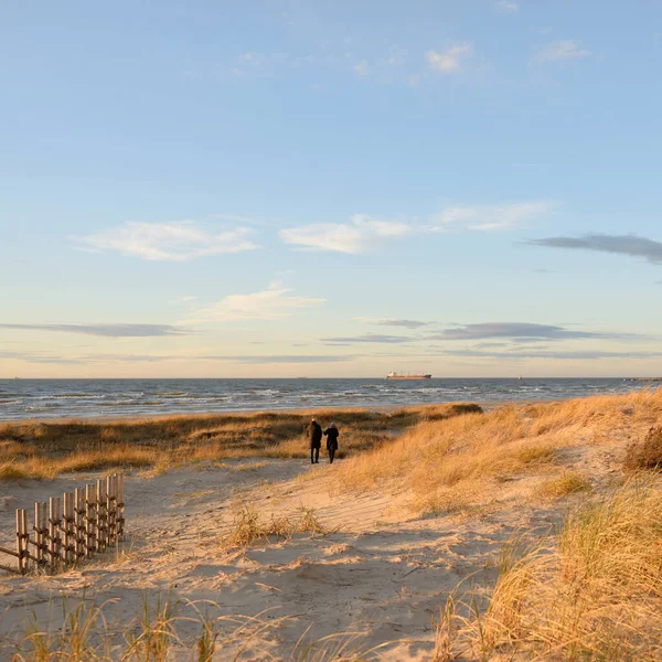 Baltic Sea Shore Sunset Walkway Recreational Area Soft Sunlight Nature — Foto de Stock