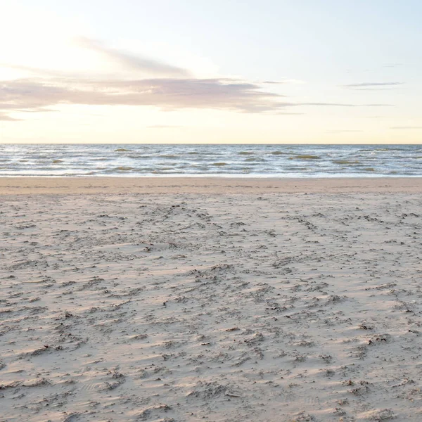 Gün batımında Baltık kıyısı. Kumsal, kum tepeleri. Dinlenme alanı. Yumuşak güneş ışığı. Doğa, çevre, yerel seyahat, eko turizm