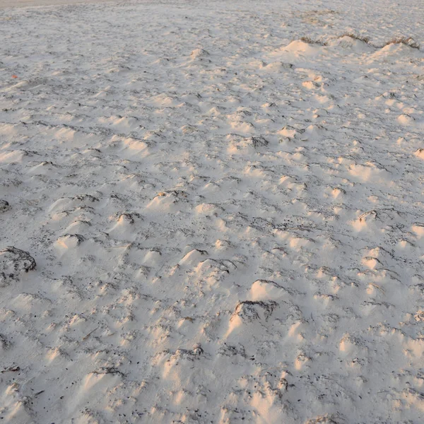 Sea Shore Texture Sand Dunes Wind Soft Golden Sunlight Abstract — 스톡 사진
