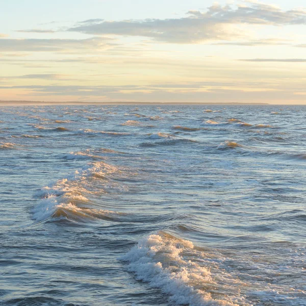 Gün batımında Baltık Denizi. Dramatik gökyüzü, mavi ve pembe parlayan bulutlar, altın güneş ışığı. Dalgalar, su sıçratma. Resimli manzara, deniz manzarası, doğa. Panoramik görünüm