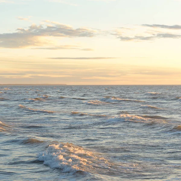 Gün batımında Baltık Denizi. Dramatik gökyüzü, mavi ve pembe parlayan bulutlar, altın güneş ışığı. Dalgalar, su sıçratma. Resimli manzara, deniz manzarası, doğa. Panoramik görünüm