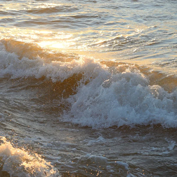Deniz suyu yüzeyi dokusu. Yumuşak güneş ışığı. Panoramik görüntü, grafik kaynaklar. Doğa, çevre kavramları