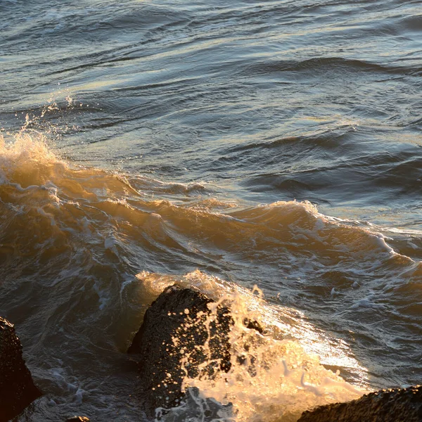 Deniz suyu yüzeyi dokusu. Yumuşak güneş ışığı. Panoramik görüntü, grafik kaynaklar. Doğa, çevre kavramları