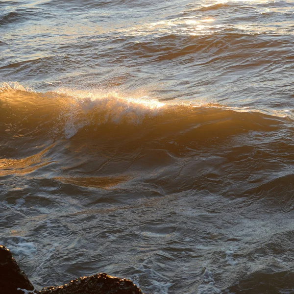Deniz suyu yüzeyi dokusu. Yumuşak güneş ışığı. Panoramik görüntü, grafik kaynaklar. Doğa, çevre kavramları
