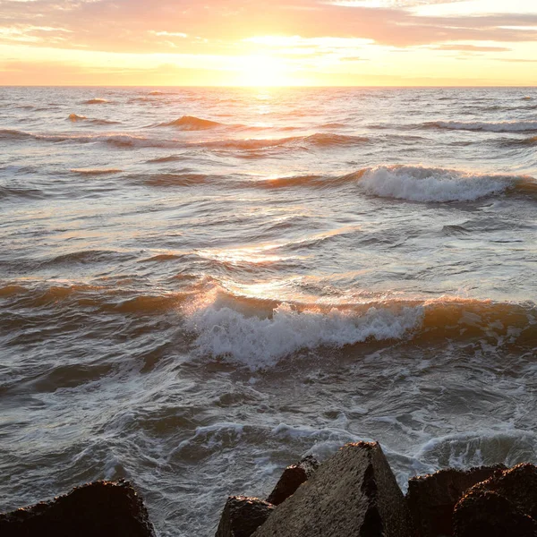 Gün batımında Baltık Denizi. Dramatik gökyüzü, mavi ve pembe parlayan bulutlar, altın güneş ışığı. Dalgalar, su sıçratma. Resimli manzara, deniz manzarası, doğa. Panoramik görünüm