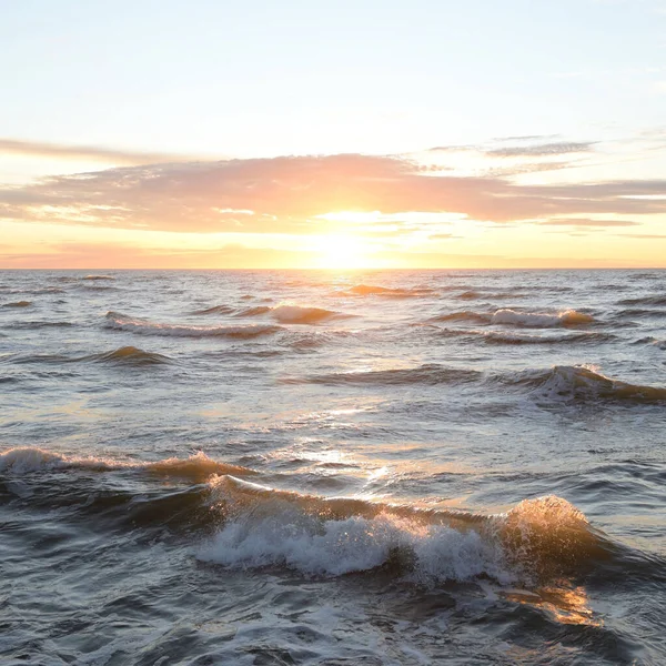 Gün batımında Baltık Denizi. Dramatik gökyüzü, mavi ve pembe parlayan bulutlar, altın güneş ışığı. Dalgalar, su sıçratma. Resimli manzara, deniz manzarası, doğa. Panoramik görünüm