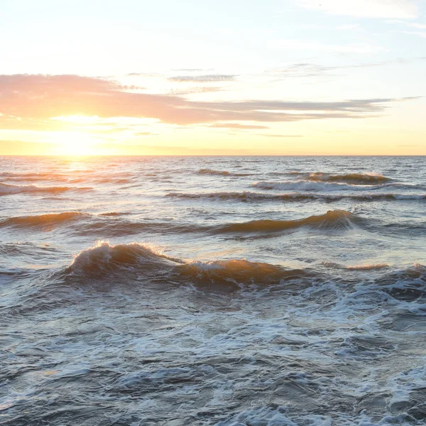Gün batımında Baltık Denizi. Dramatik gökyüzü, mavi ve pembe parlayan bulutlar, altın güneş ışığı. Dalgalar, su sıçratma. Resimli manzara, deniz manzarası, doğa. Panoramik görünüm