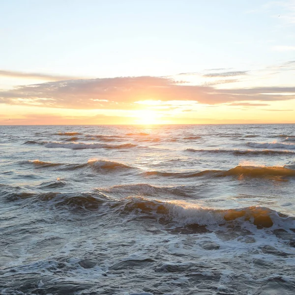 Gün batımında Baltık Denizi. Dramatik gökyüzü, mavi ve pembe parlayan bulutlar, altın güneş ışığı. Dalgalar, su sıçratma. Resimli manzara, deniz manzarası, doğa. Panoramik görünüm