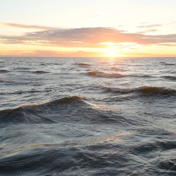 Gün batımında Baltık Denizi. Dramatik gökyüzü, mavi ve pembe parlayan bulutlar, altın güneş ışığı. Dalgalar, su sıçratma. Resimli manzara, deniz manzarası, doğa. Panoramik görünüm