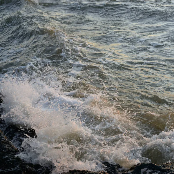 Deniz suyu yüzeyi dokusu. Yumuşak güneş ışığı. Panoramik görüntü, grafik kaynaklar. Doğa, çevre kavramları