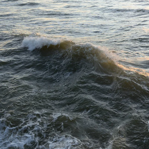 Deniz suyu yüzeyi dokusu. Yumuşak güneş ışığı. Panoramik görüntü, grafik kaynaklar. Doğa, çevre kavramları