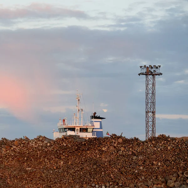 Kargo iskelesine yeni yapılmış odun yükleme. Yük taşımacılığı, lojistik, küresel iletişim, sanayi, ekonomi, ticaret, kereste sanayii, siyaset, yolsuzluk, ekolojik sorunlar