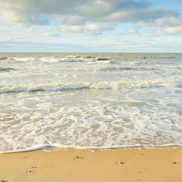 Panoramautsikt Över Östersjön Från Sandstrand Sanddyner Klar Himmel Med Glödande — Stockfoto
