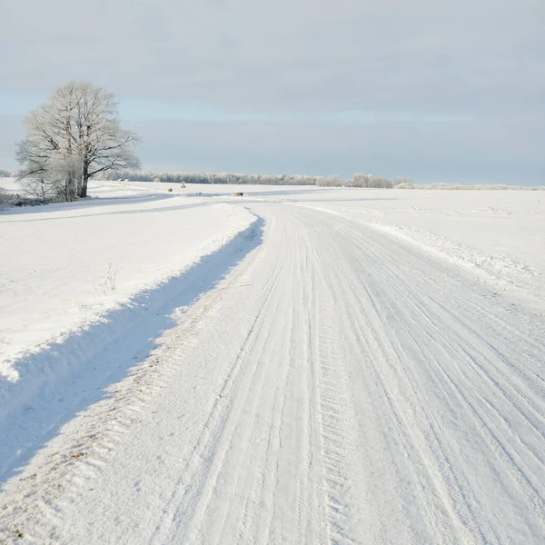 乡间小路穿过白雪覆盖的田野 乡村地区 从车里看到的白雪飘扬欧洲 大自然 圣诞节假期 遥远的地方 冬天的轮胎 危险的驾驶概念 — 图库照片