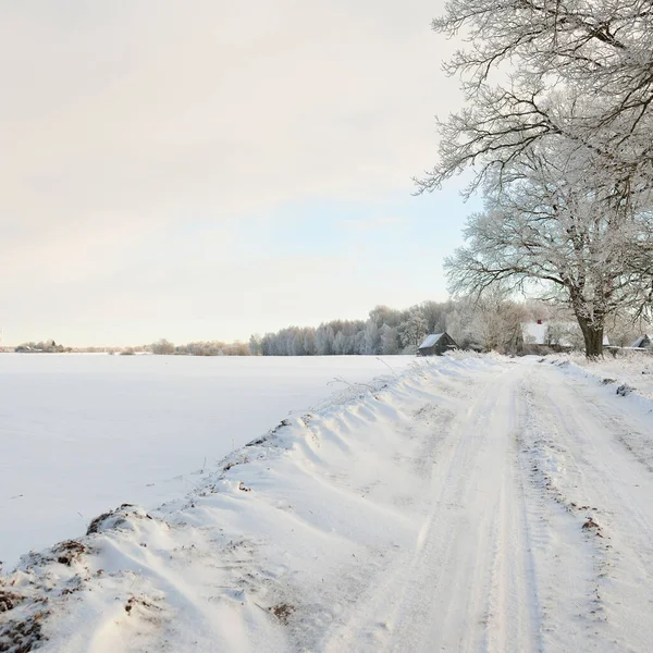 Güneşli bir günde karla kaplı tarlaların ve köyün içinden geçen yol. Arka plandaki kır evleri. Idyllic manzara. Noel tatilleri, eko turizm, yürüyüş, kayak, uzak yerler, off-road teması