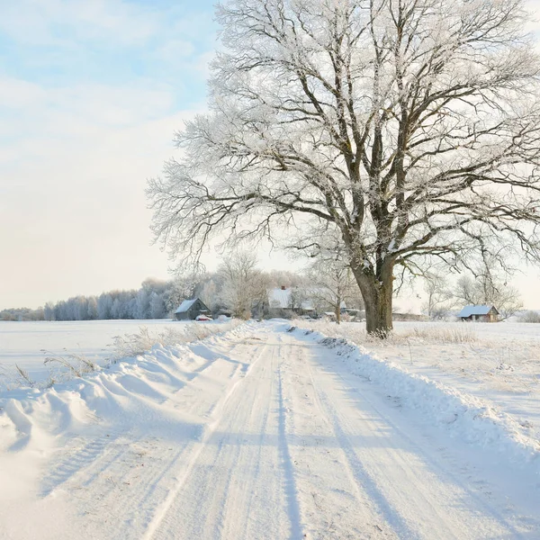 Pathway Snow Covered Fields Village Sunny Day Country Houses Background — ストック写真