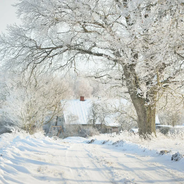 Caminho Pelos Campos Cobertos Neve Aldeia Dia Ensolarado Casas Campo — Fotografia de Stock