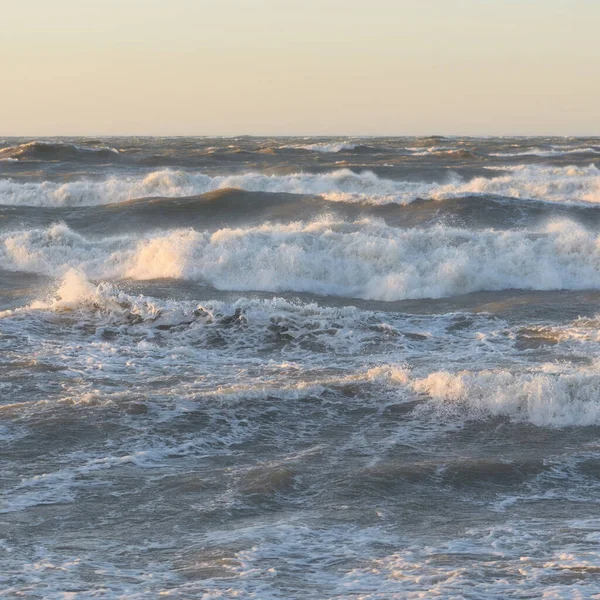 Gün batımında Baltık kıyısı. Yumuşak altın güneş ışığı, parlayan gökyüzü, dalgalar. Idyllic deniz manzarası. Seyahat yerleri, eko turizm, doğa, hava durumu, iklim değişikliği. Resimli panoramik manzara