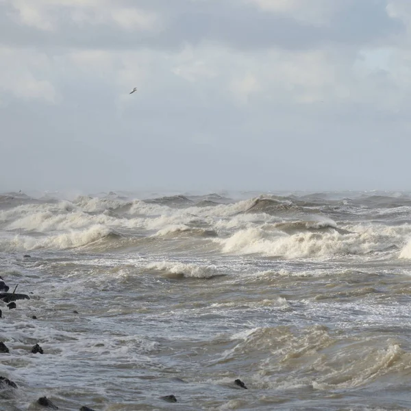 Baltic Sea Storm Sunset Picturesque Panoramic Scenery Seascape Nature Environment — Stockfoto