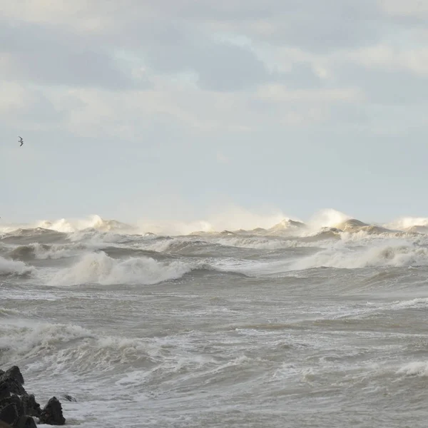 Baltic Sea Fog Waves Splashing Water Storm Breakwaters Flying Seagulls — Photo