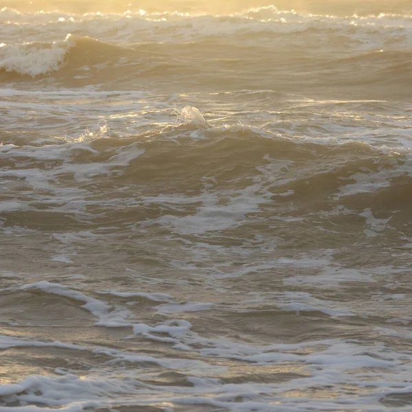 Fırtınadan sonra Baltık kıyıları. Gün batımı, yumuşak güneş ışığı. Su yüzeyi dokusu, çarpan dalgalar, sıçramalar, köpük. Resimli panoramik manzara. Idyllic deniz manzarası. Doğa, çevre, ekoloji temaları