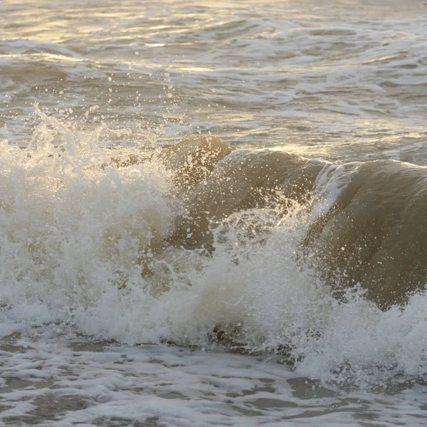 Fırtınadan sonra Baltık kıyıları. Gün batımı, yumuşak güneş ışığı. Su yüzeyi dokusu, çarpan dalgalar, sıçramalar, köpük. Resimli panoramik manzara. Idyllic deniz manzarası. Doğa, çevre, ekoloji temaları