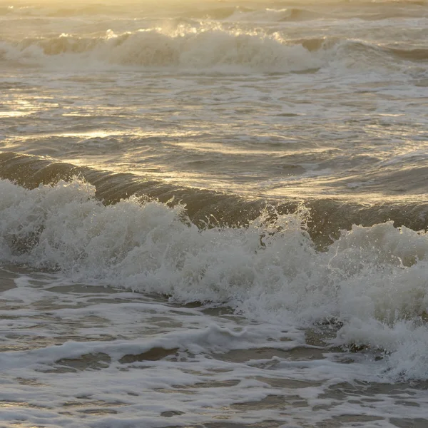 Fırtınadan sonra Baltık kıyıları. Gün batımı, yumuşak güneş ışığı. Su yüzeyi dokusu, çarpan dalgalar, sıçramalar, köpük. Resimli panoramik manzara. Idyllic deniz manzarası. Doğa, çevre, ekoloji temaları