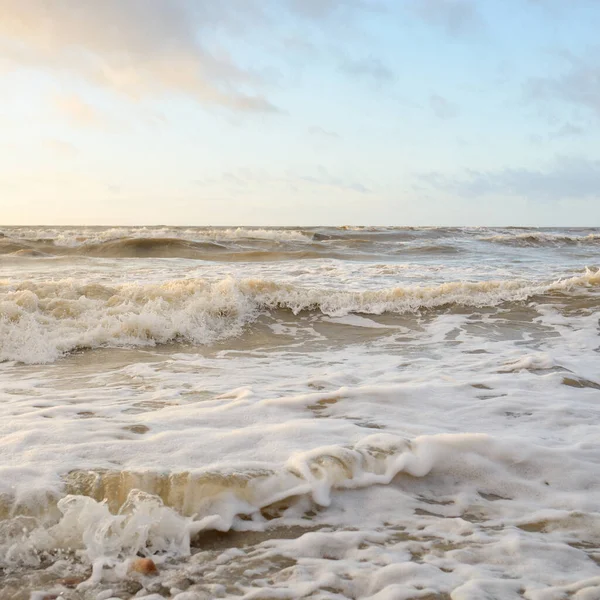 Gün batımında Baltık Denizi. Dramatik gökyüzü, mavi ve pembe parlayan bulutlar, altın güneş ışığı. Dalgalar, su sıçratma. Resimli manzara, deniz manzarası, doğa. Panoramik görünüm,