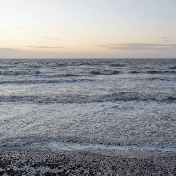 Gün batımında Baltık Denizi. Dramatik gökyüzü, mavi ve pembe parlayan bulutlar, altın güneş ışığı. Dalgalar, su sıçratma. Resimli manzara, deniz manzarası, doğa. Panoramik görünüm,