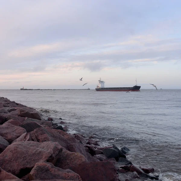 Cargo Ship Arriving Port Sunset Baltic Sea Freight Transportation Global — ストック写真